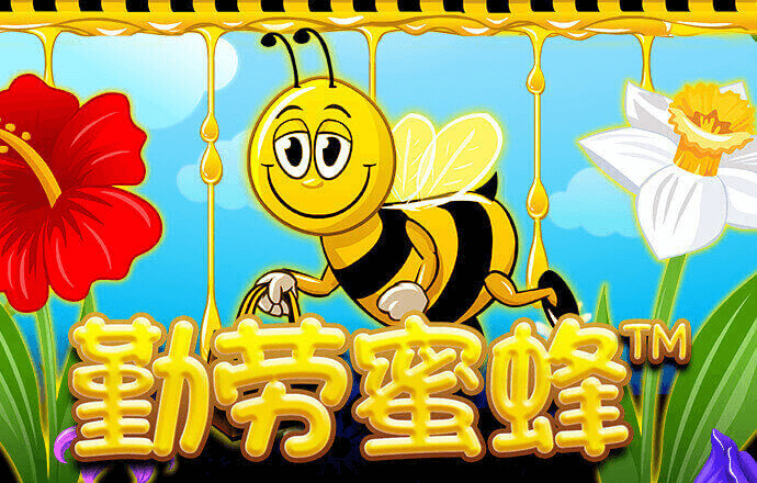 天下彩9944天下彩入口